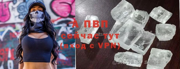 крисы Беломорск