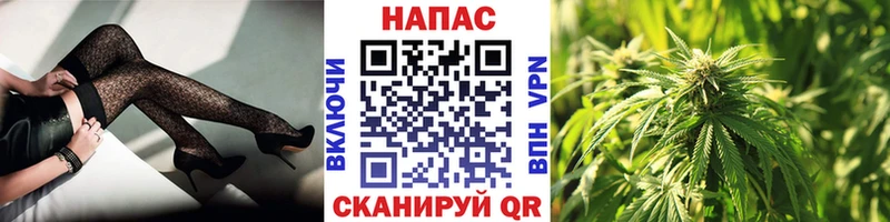 продажа наркотиков  Горняк  Каннабис ГИДРОПОН 